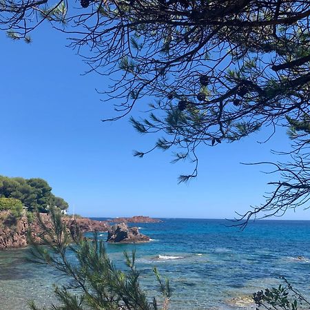 Studio Climatise Avec Piscine Saint-Raphaël Eksteriør bilde
