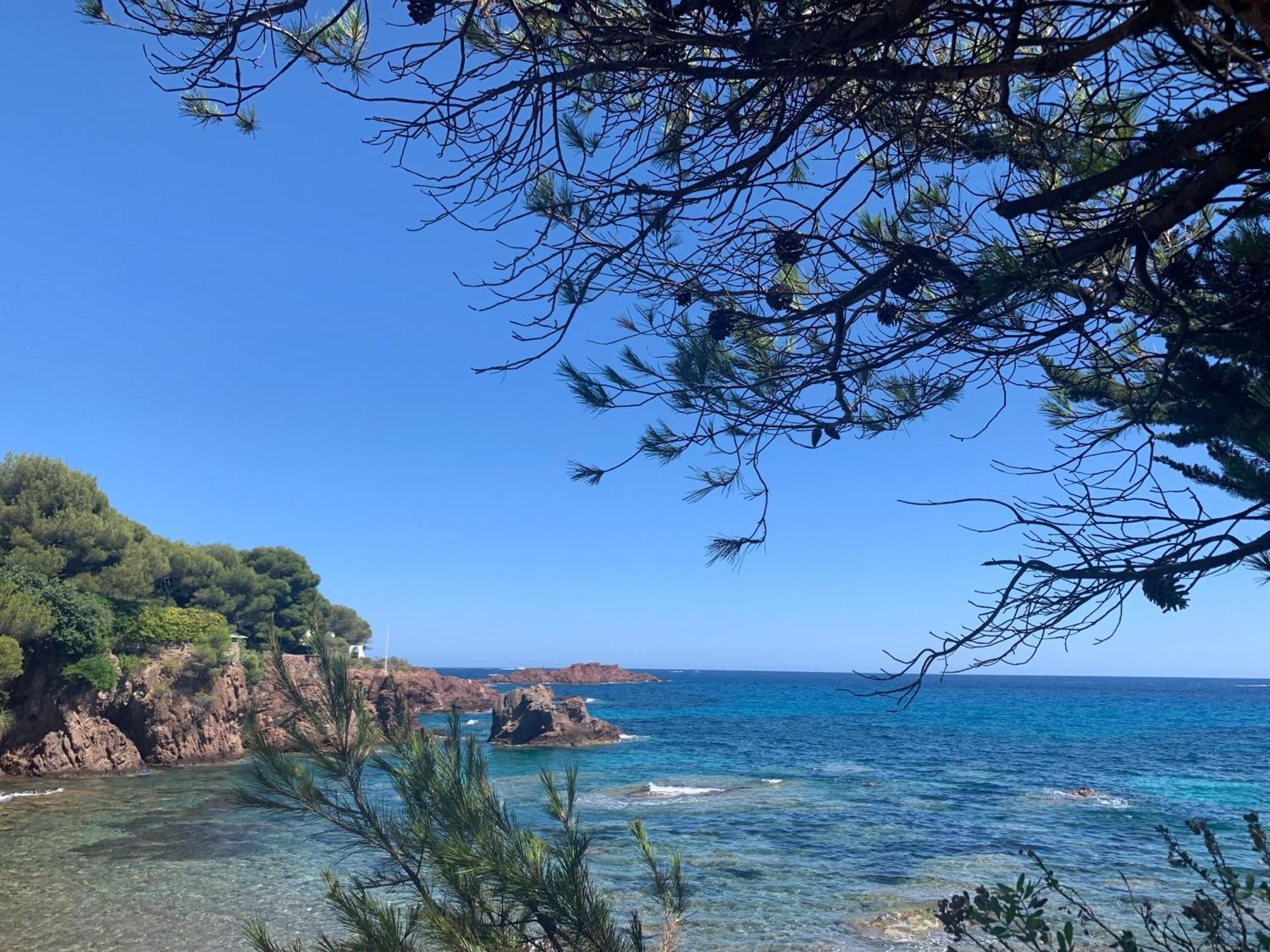 Studio Climatise Avec Piscine Saint-Raphaël Eksteriør bilde